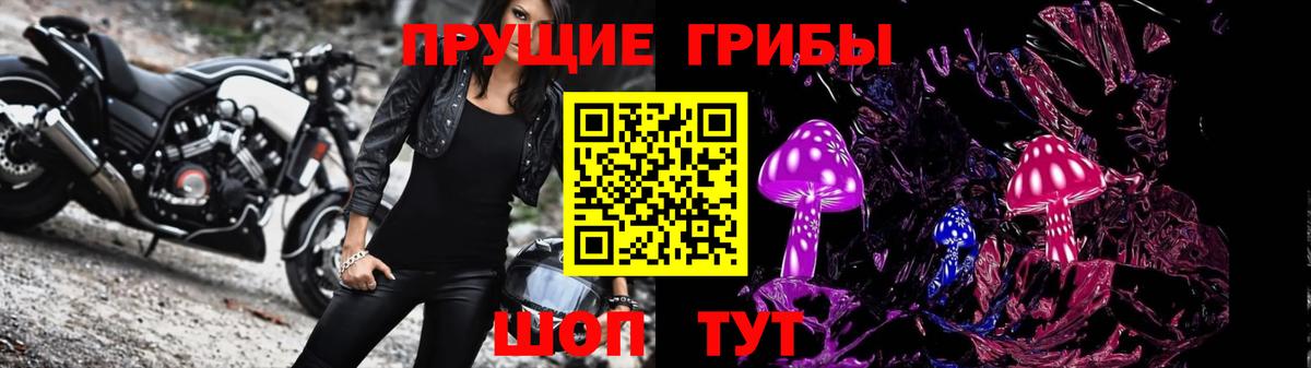 Вязники  Галлюциногенные грибы Cubensis  Вход с VPN 